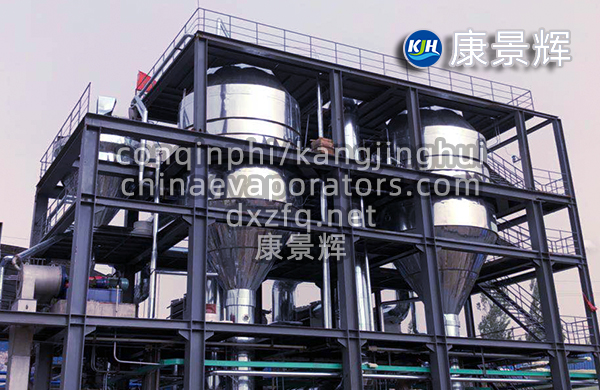 氯化鈉雙效蒸發(fā)結晶器